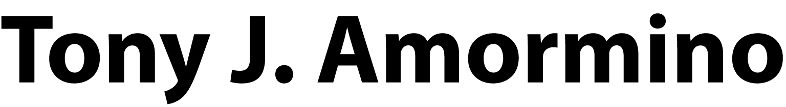 Tony J. Amormino